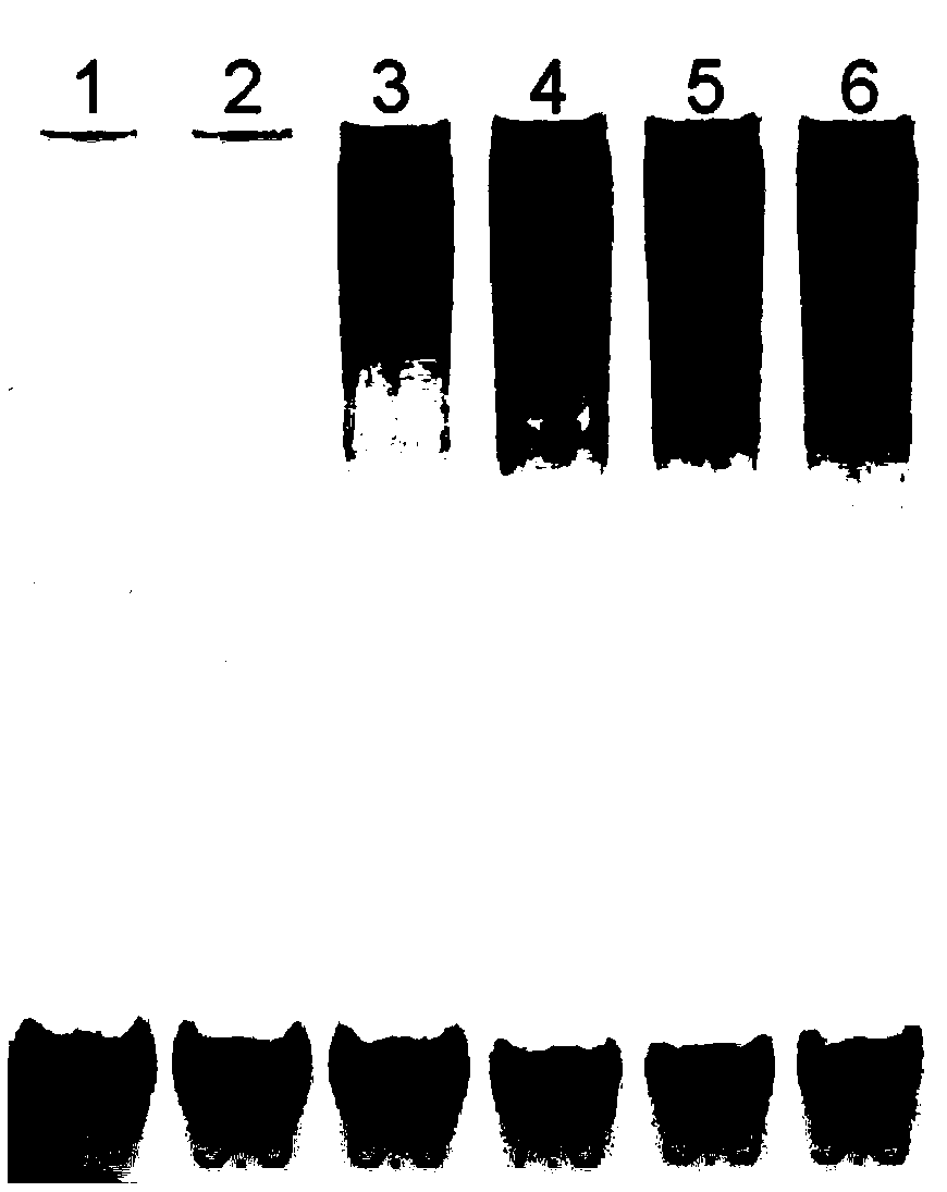 A triple-helix pH biosensor and application thereof