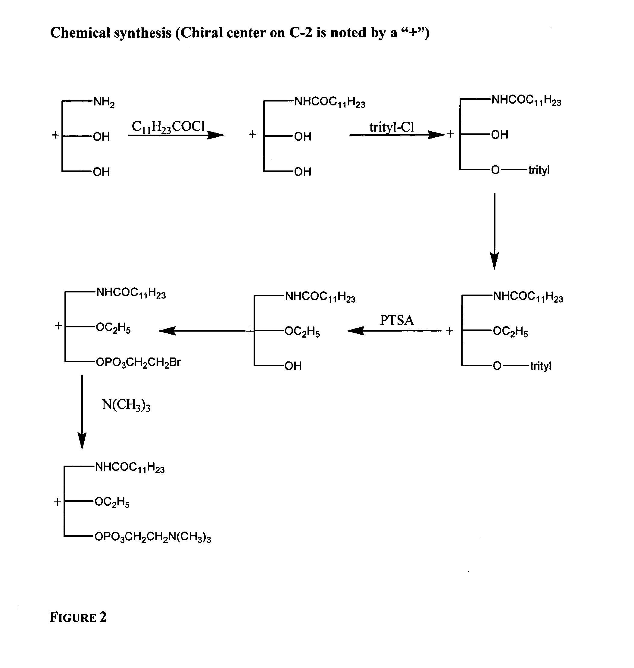 Phospholipids for the Treatment of Infection by Togaviruses, Herpes Viruses and Coronaviruses