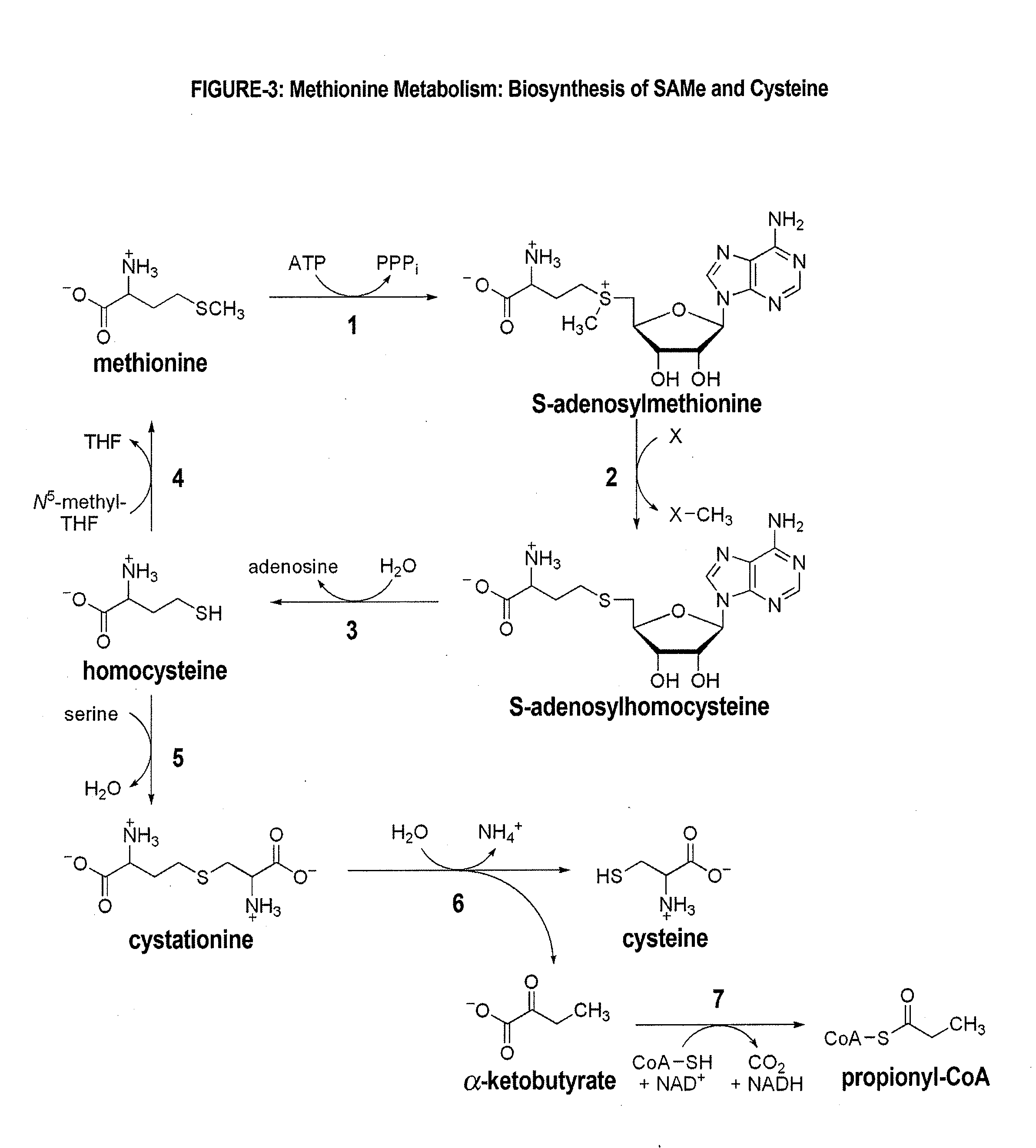 BIO-REPLENISHMENT (BioRep) FOR IMPROVING SLEEP ARCHITECTURE