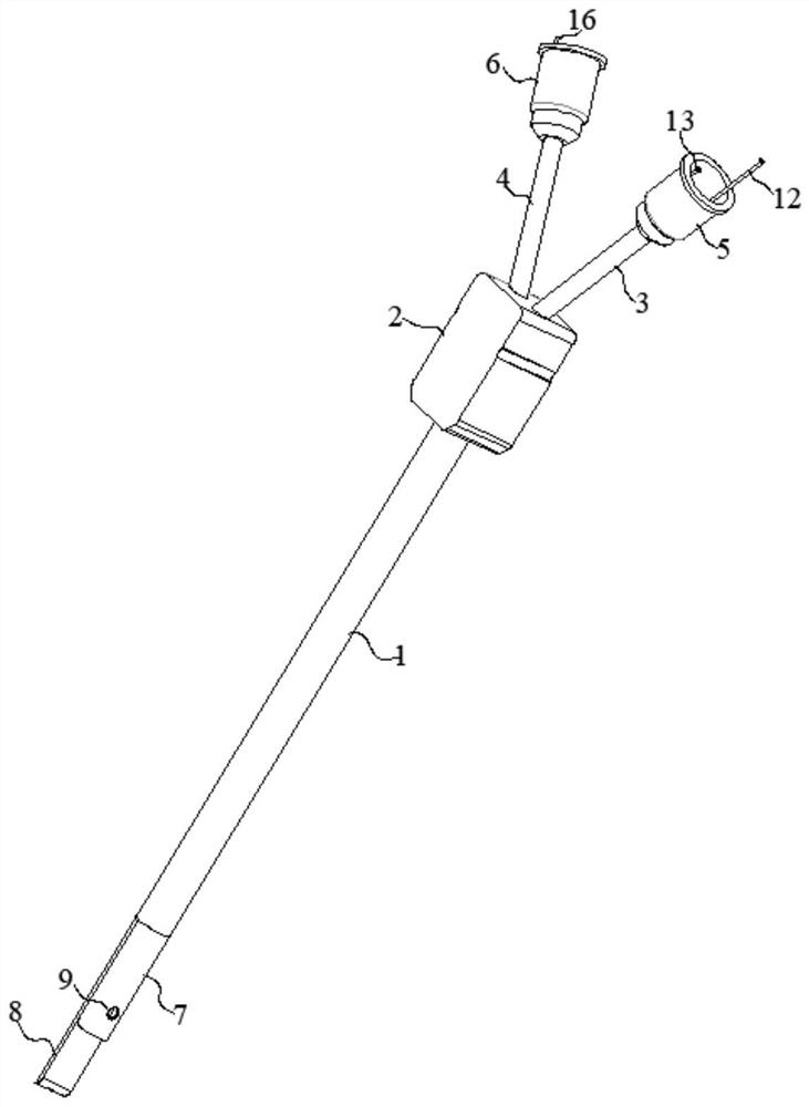 Hemodialysis catheter with extensible function