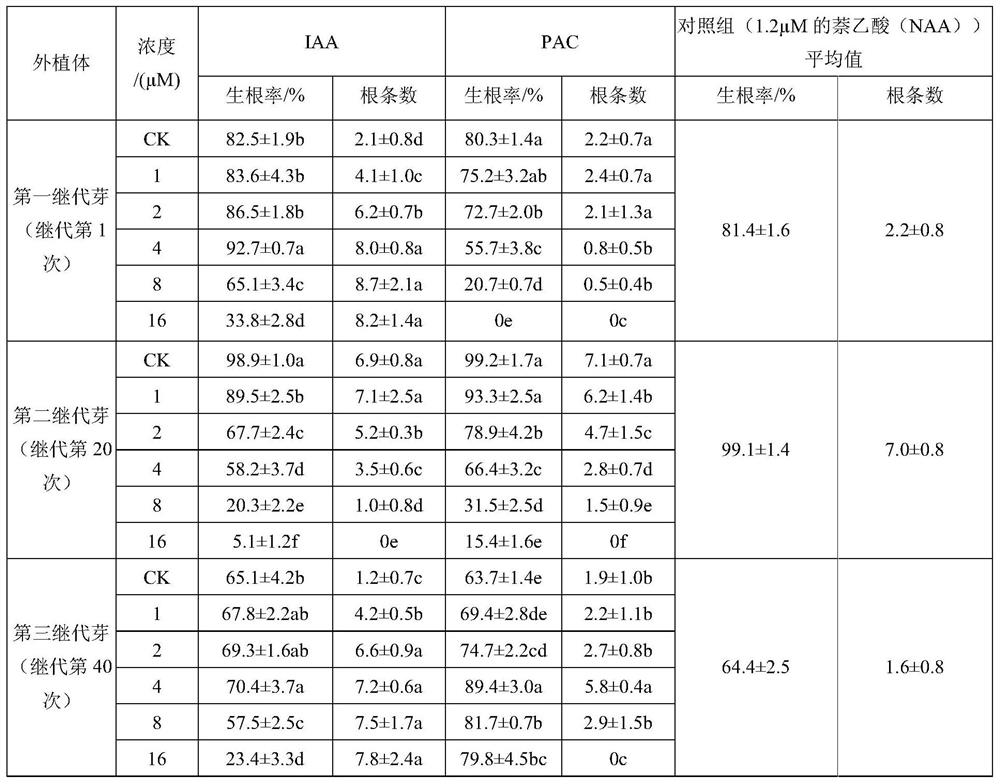 Method for improving rooting ability of pinus massoniana based on endogenous hormones