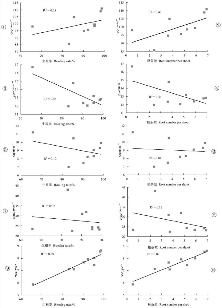 Method for improving rooting ability of pinus massoniana based on endogenous hormones