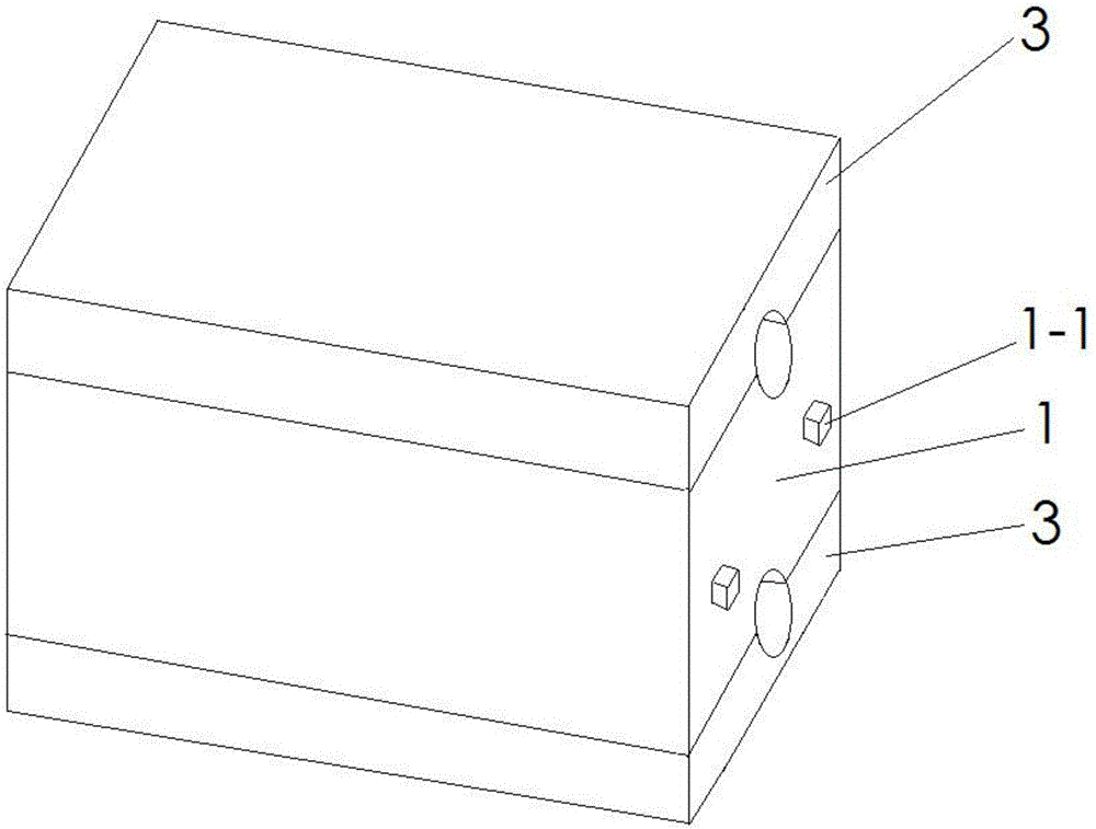 Energy storing, temperature adjusting and body preserving combined brick used for buildings