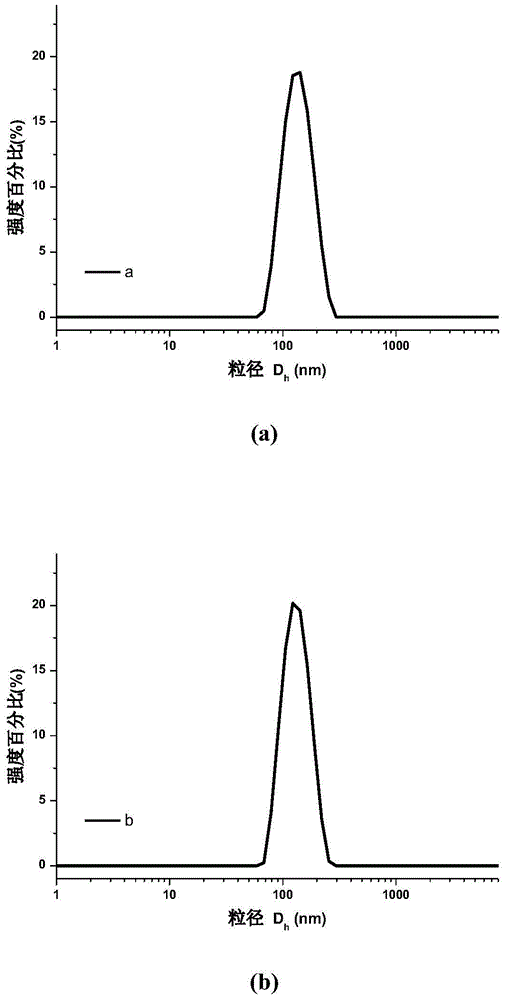 Drug nanoparticle preparation based on complexing coating and preparation method and application