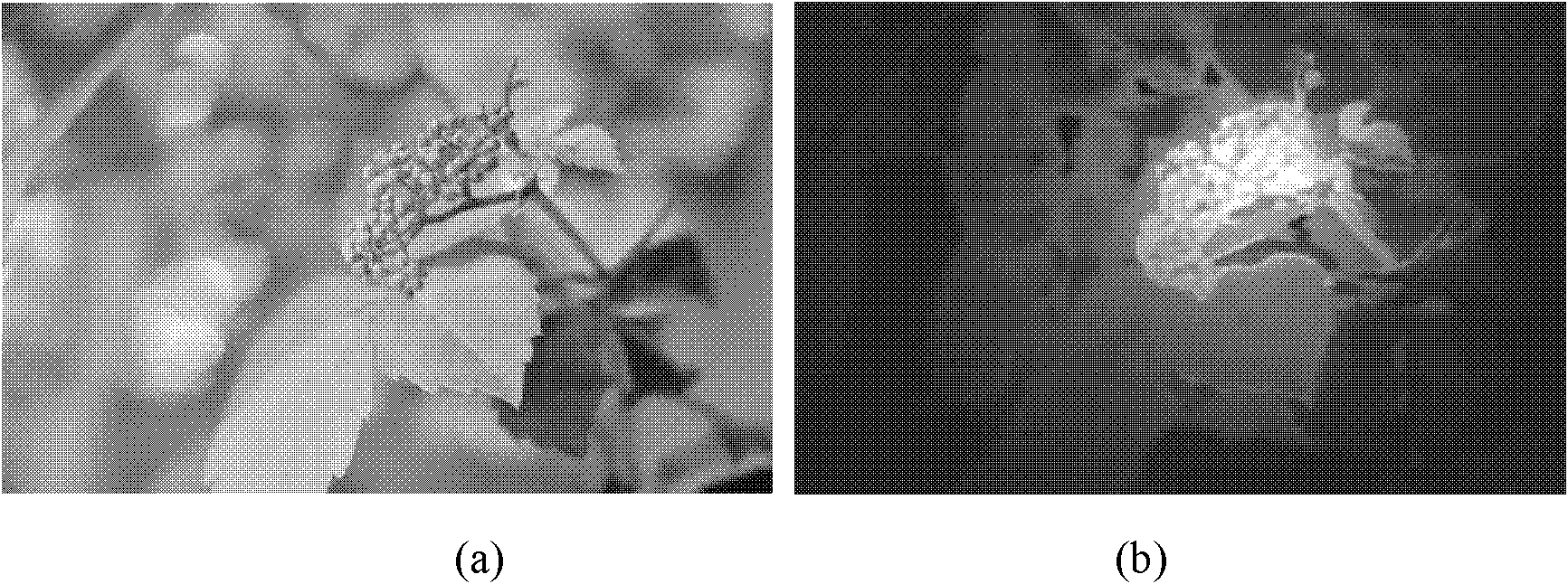 Image importance detection method based on photographic element