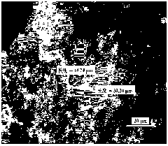 Cement clinker preparation method using converter steel slag to correct iron quality