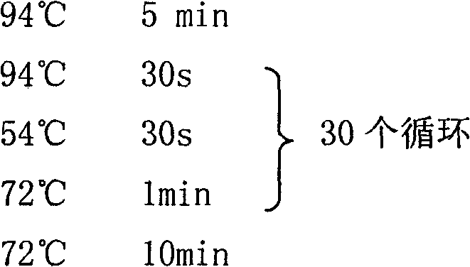 Leukocyte chemoattractant gene sequence 2 of grass carp