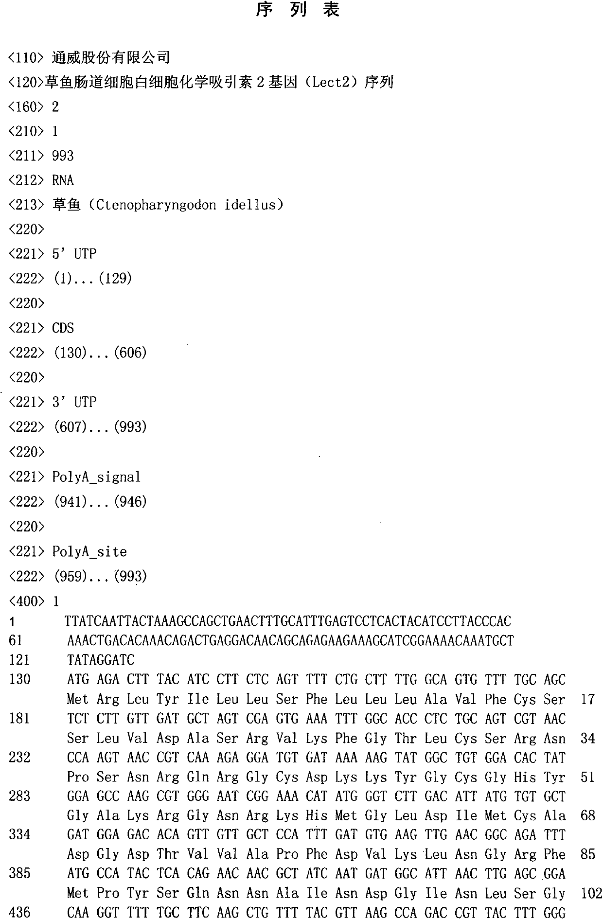 Leukocyte chemoattractant gene sequence 2 of grass carp