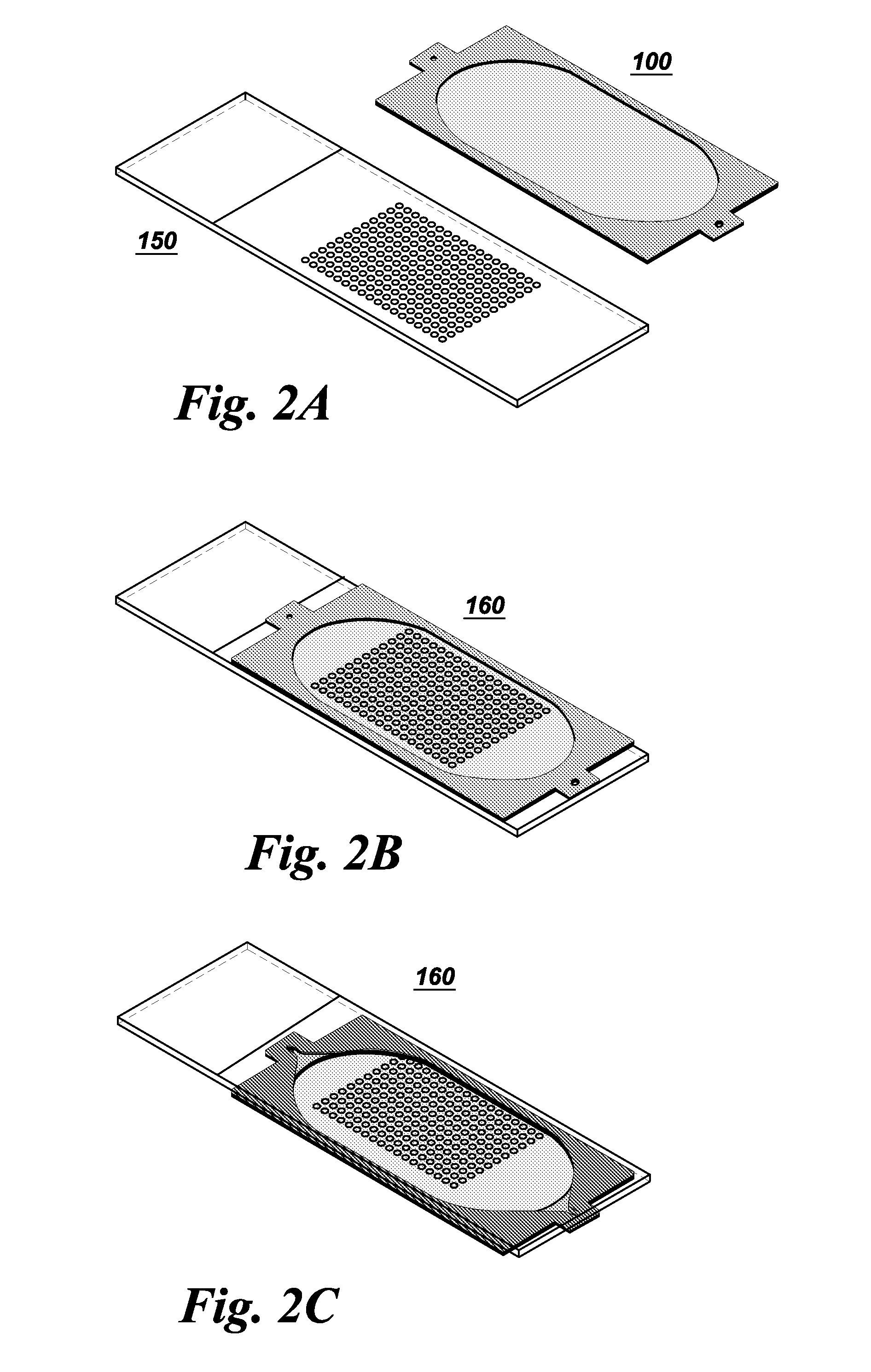 Microfluidic chamber device and fabrication