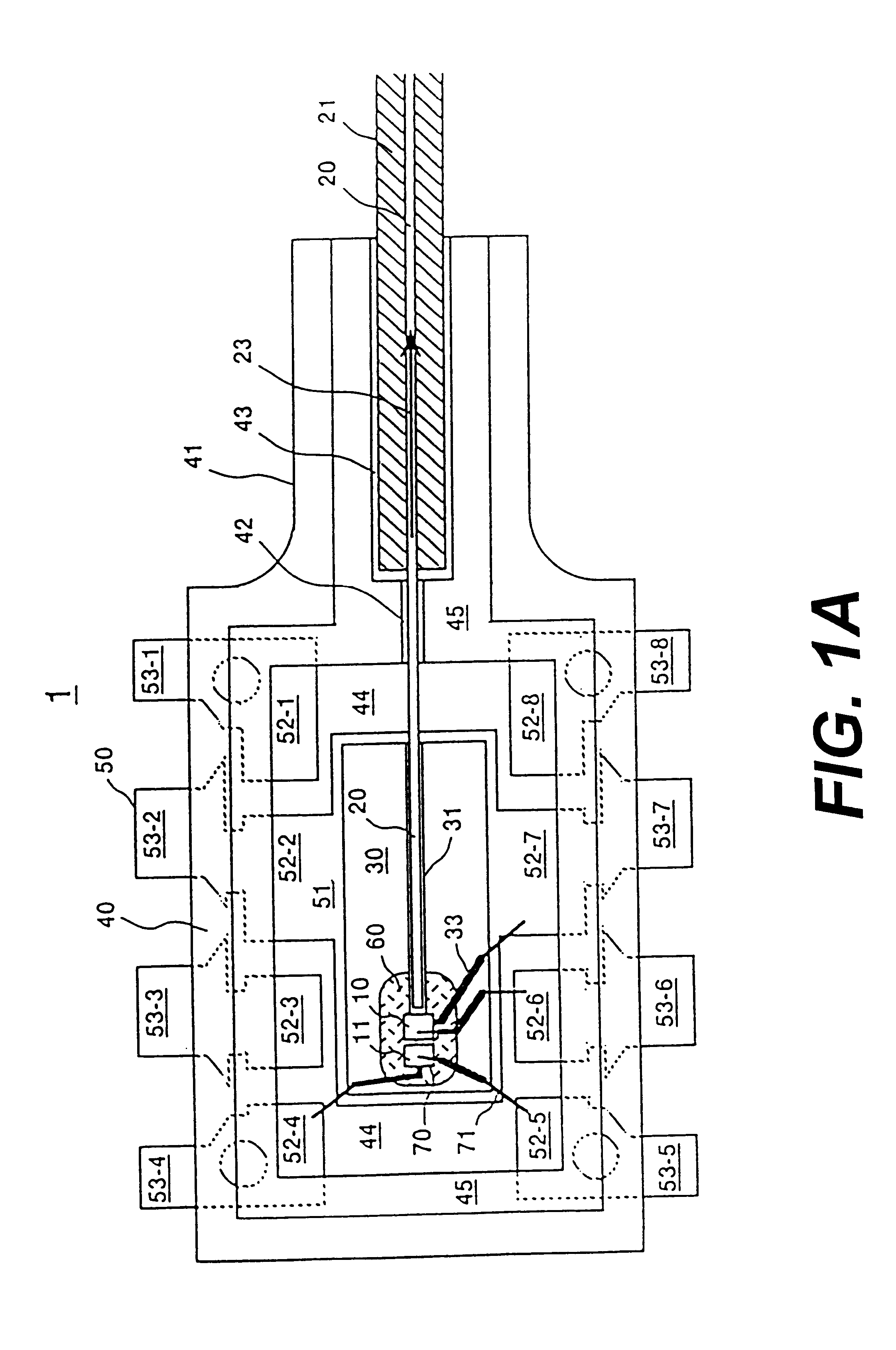 Optical module, method for manufacturing optical module and optical communication apparatus