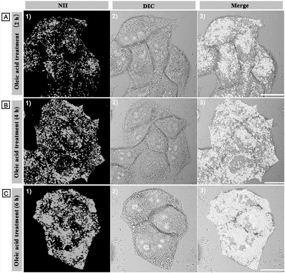 Amphiphilic lipid-droplet fluorescent probe with super-high selectivity and application thereof