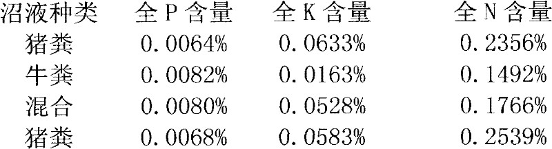 Biological liquid organic fertilizer and preparation method thereof