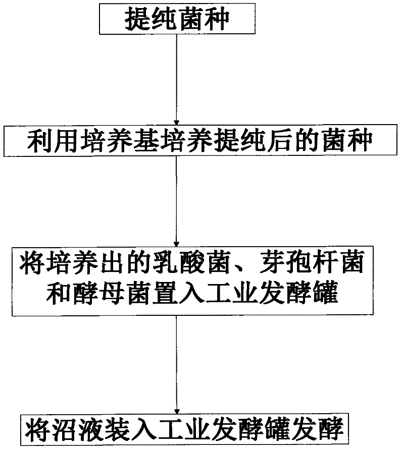 Biological liquid organic fertilizer and preparation method thereof