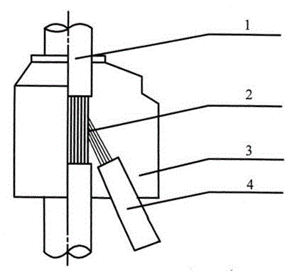 Branch cable