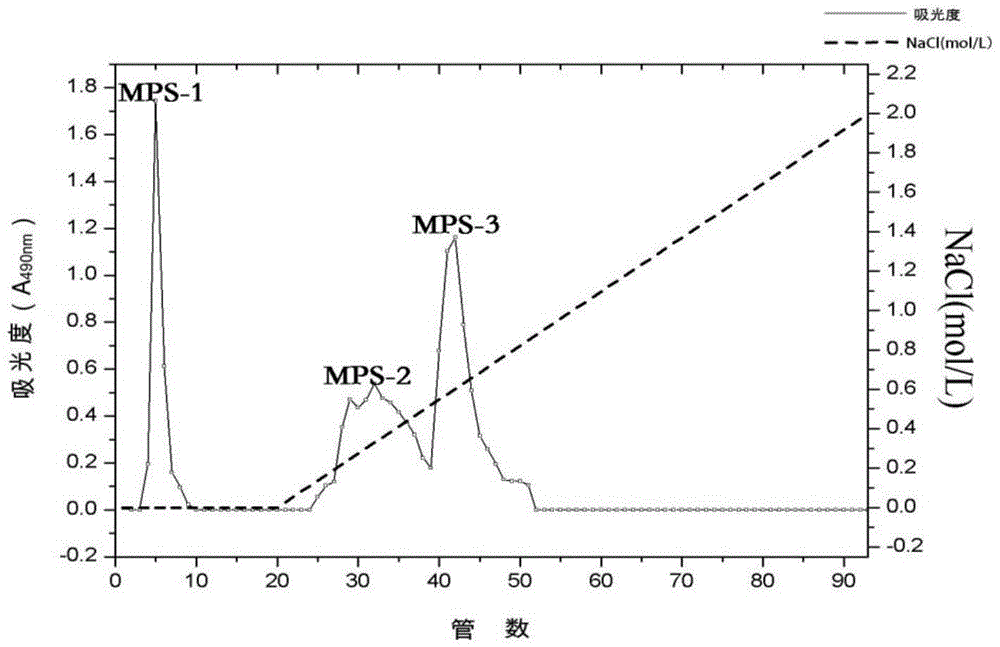 Folium mori polysaccharide as well as separation and purification preparation method and application thereof