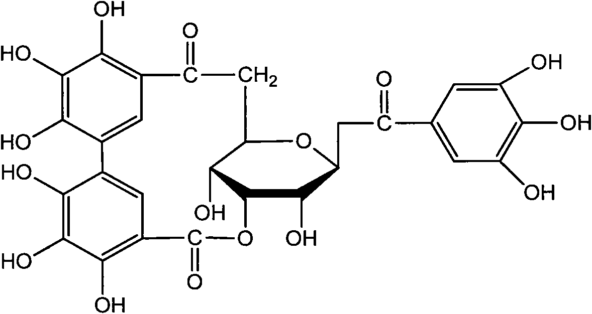 Method for extracting polyphenol active ingredient in geranium wilfordii through high-efficiency enzyme induction