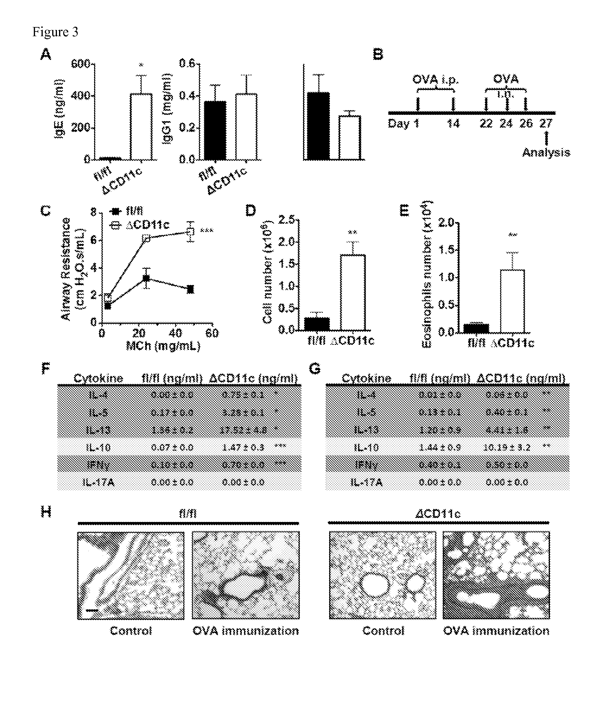 Methods and compositions for treatment of th2-mediated and th17-mediated diseases