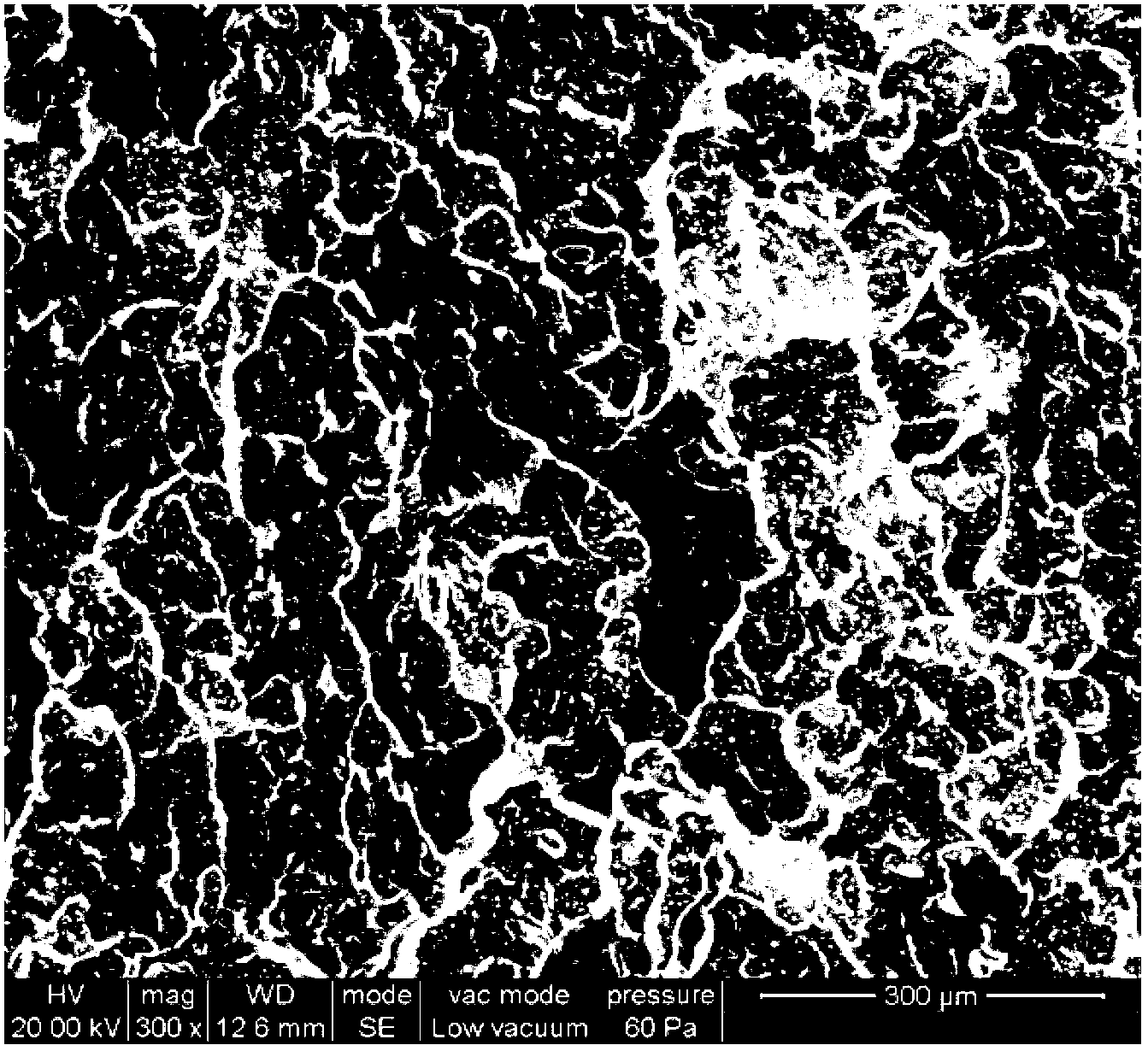 Polyolefin/enzymatic-hydrolyzed lignin composite material and preparation method thereof