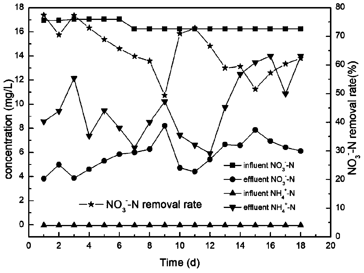 Technology for removing nitrate nitrogen and phosphorus from water and synchronously recovering nutrient salts