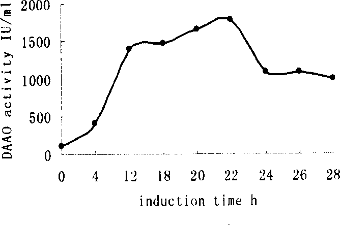 Process of preparing D-amino acid oxydase