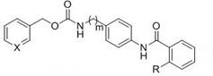 An anthranilamide compound based on entinotine skeleton and its preparation and application