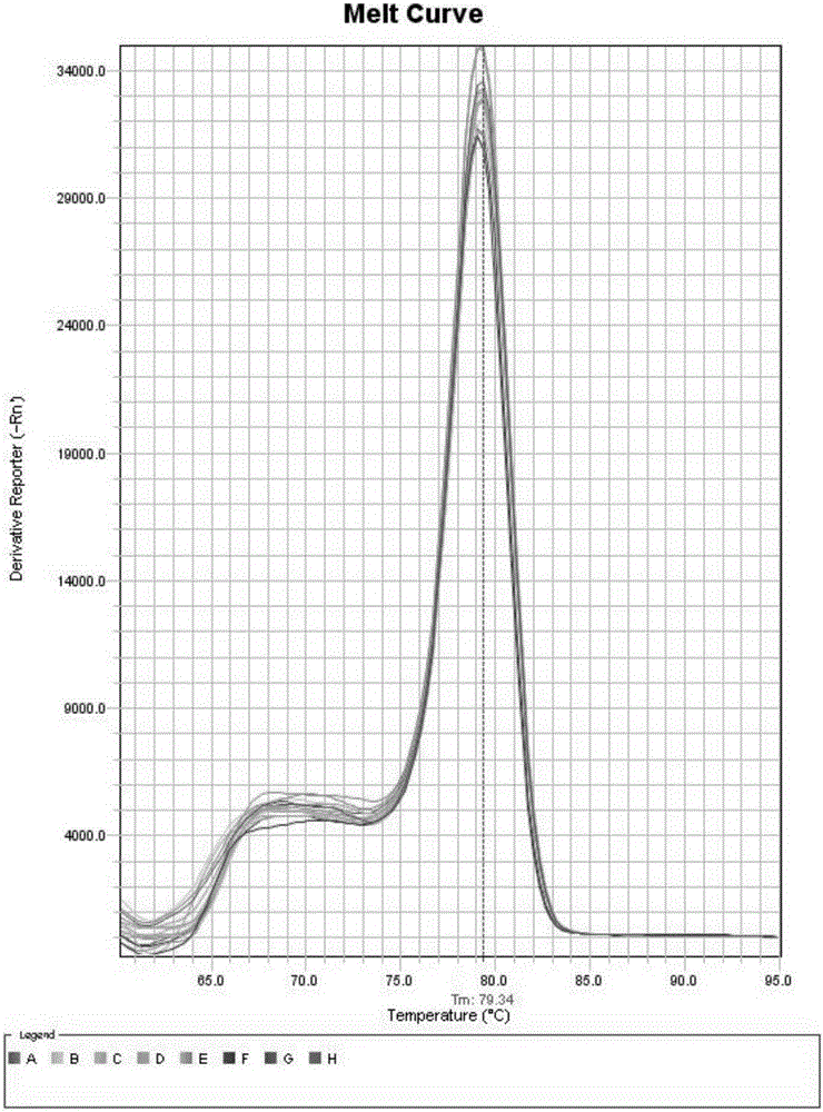 Puccinia striiformis quantitative detection kit and application thereof