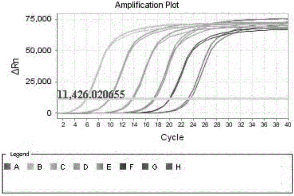 Puccinia striiformis quantitative detection kit and application thereof