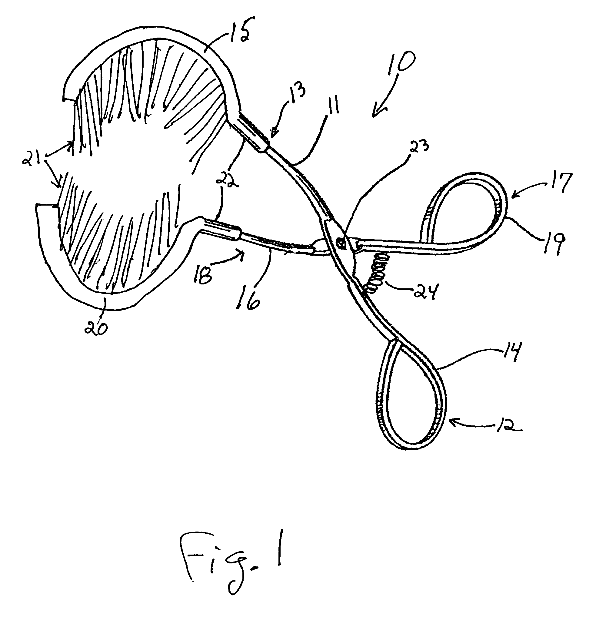 Animal tail or limb grooming brush