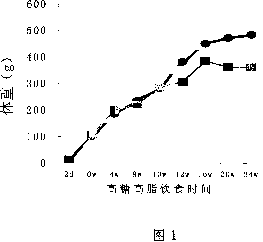 Method for preparing 2 type diabetes rat model