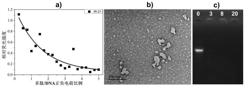 Gene and chemical drug cotransporters and methods of use