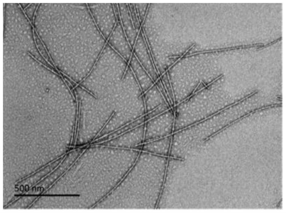 Gene and chemical drug cotransporters and methods of use