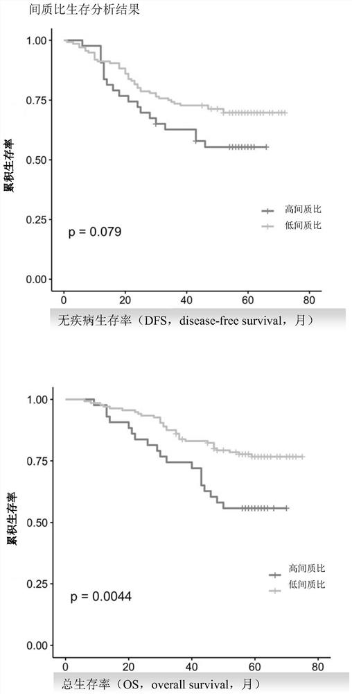 Triple comprehensive tumor analysis system based on pathological tissue and application