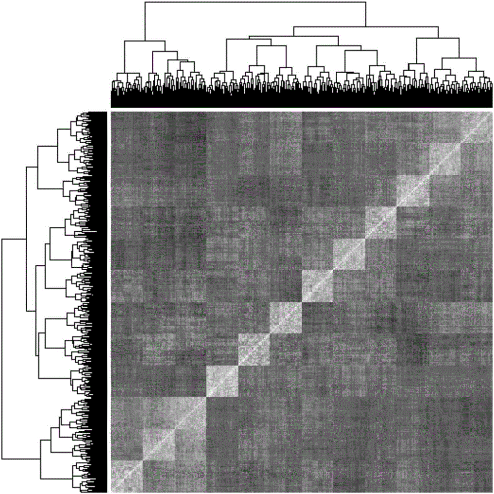 Method for performing forest tree multiple-trait pyramiding breeding based on multiple-trait genomic selection