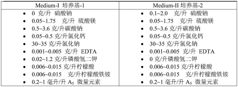 Method for producing polyunsaturated fatty acid by applying coccolithophyte microalgae Pleurophylla carinii