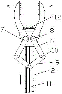 A kind of microsurgical forceps that can be clamped and fixed by double forceps head