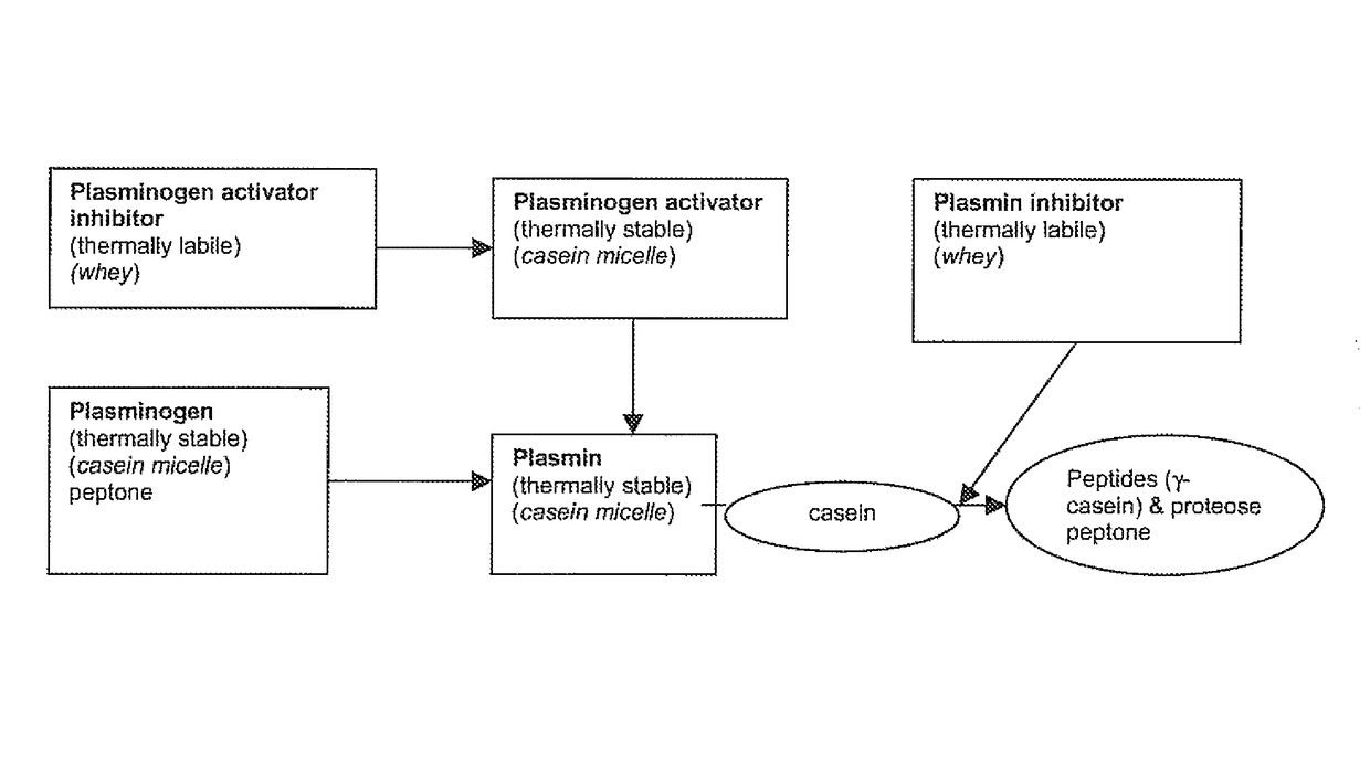 Process for preserving low-lactose or lactose-free milk product