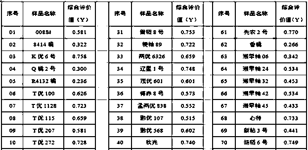 Method for rapidly screening raw material used to make rice product