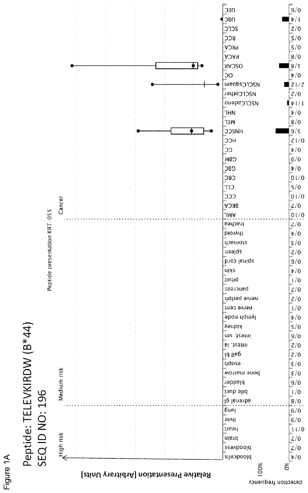 B*44 restricted peptides for use in immunotherapy against cancers and related methods