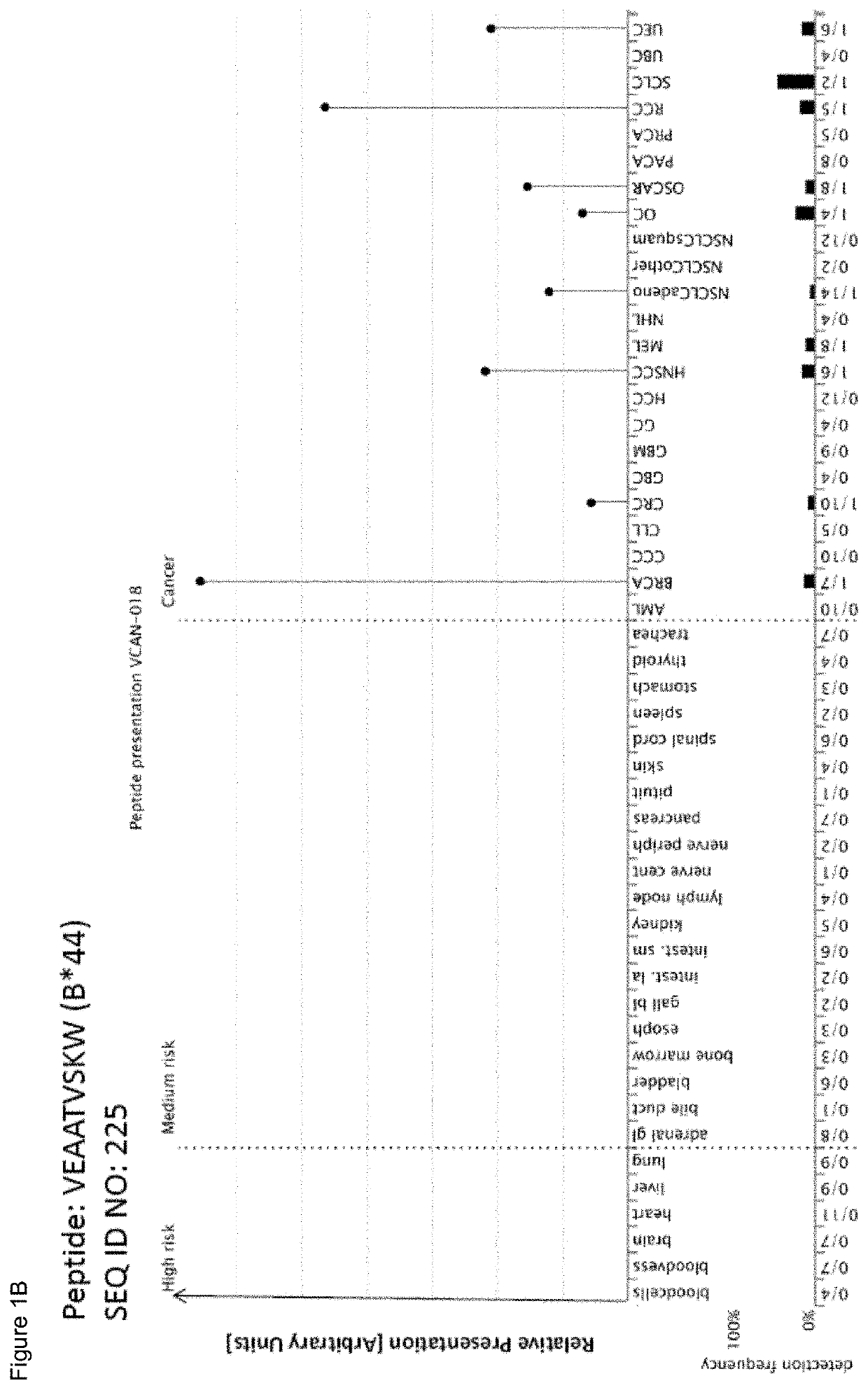 B*44 restricted peptides for use in immunotherapy against cancers and related methods