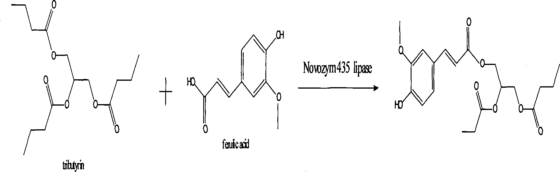 Method for synthesizing antioxidant feruloylated dibutyrated acylglycerol accelerated by solvent-free system enzyme