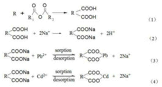 Method for separating heavy metals lead and cadmium by using biological adsorbent packed column