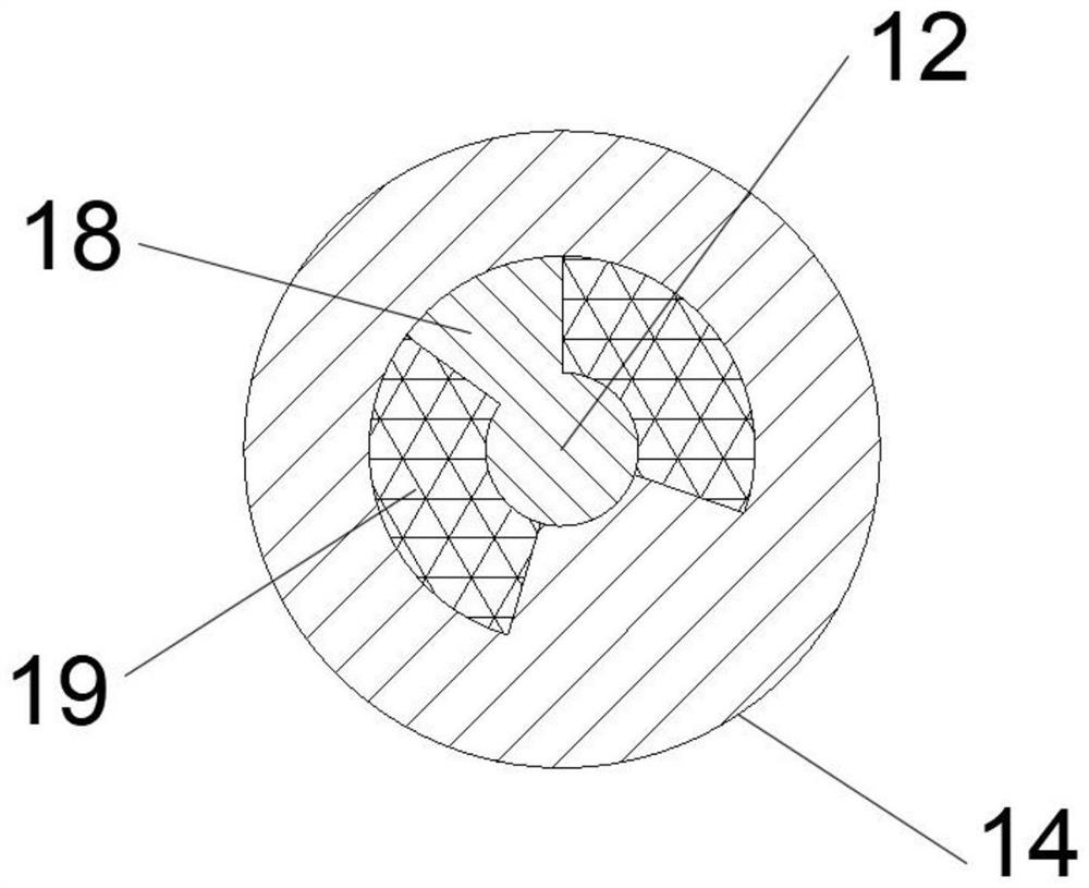 Damping belt for intelligent sorting of coal gangue