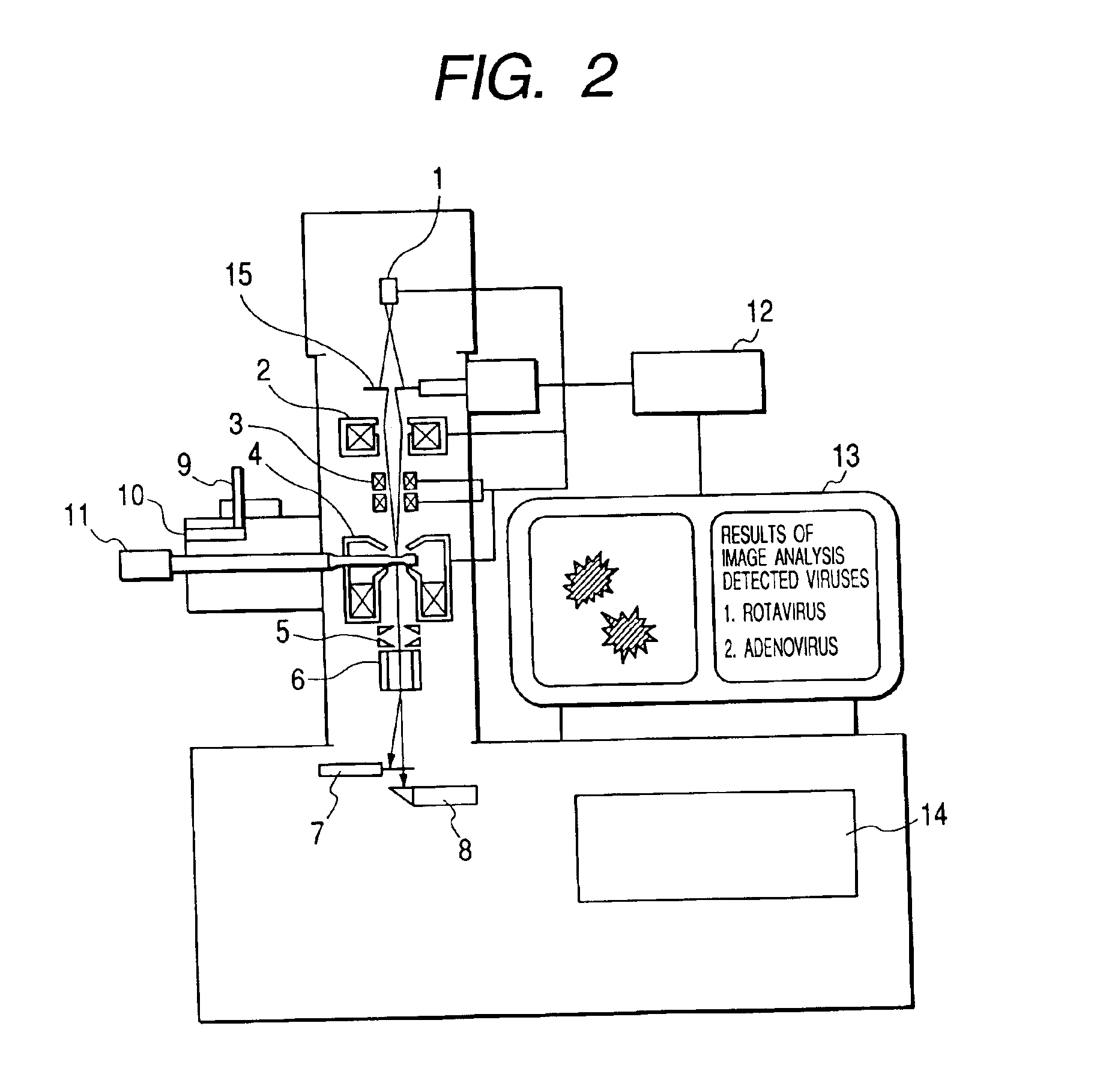 Bio electron microscope and observation method of specimen