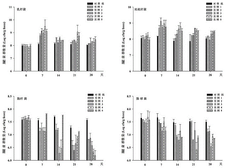 Lentinan prebiotic composition with gastrointestinal tract function improving effect