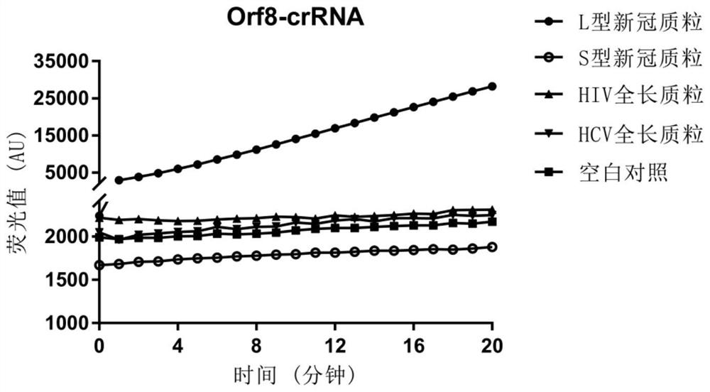 Method for detecting novel coronavirus variants and subtypes