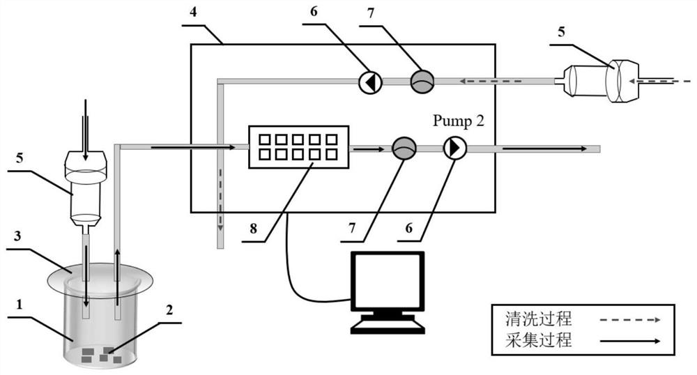 Citrus huanglongbing detection method based on electronic nose