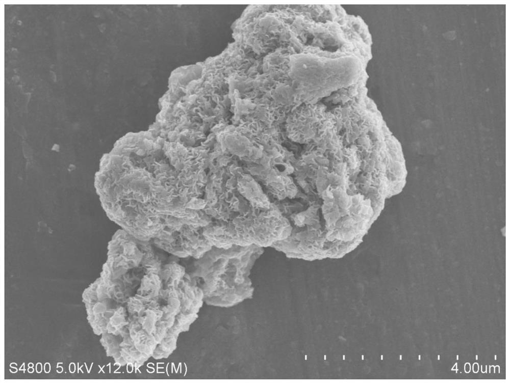 Full-pH electrocatalytic hydrogen evolution molybdenum disulfide modified sulfur and molybdenum co-doped graphite-phase carbon nitride heterostructure material, and preparation method thereof