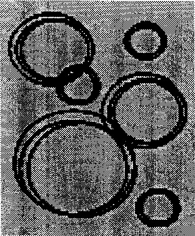 False proof thin film and producing method thereof