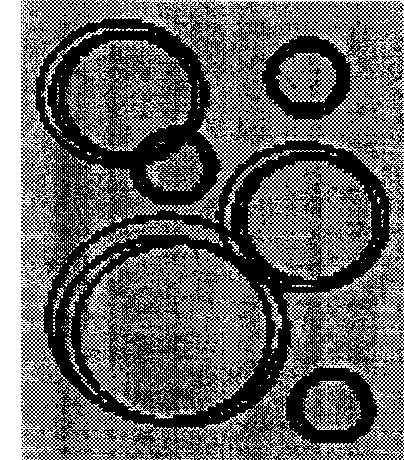 False proof thin film and producing method thereof