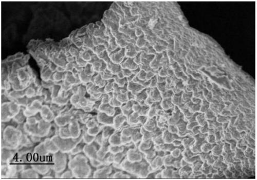 In-situ-doped cobalt fenton catalyst as well as synthetic method and application thereof